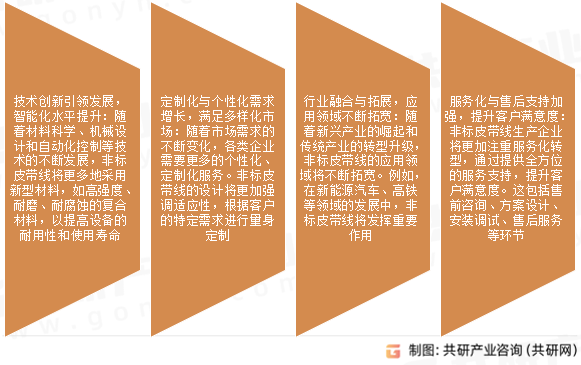 非标皮带线市场发展趋势