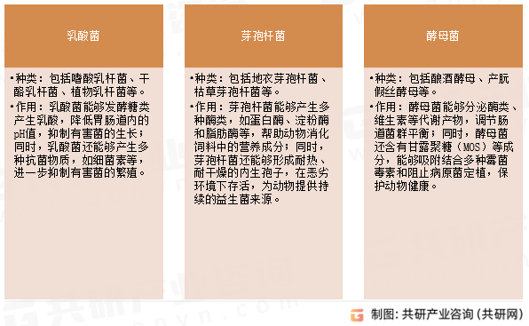 动物饲料益生菌常见菌种