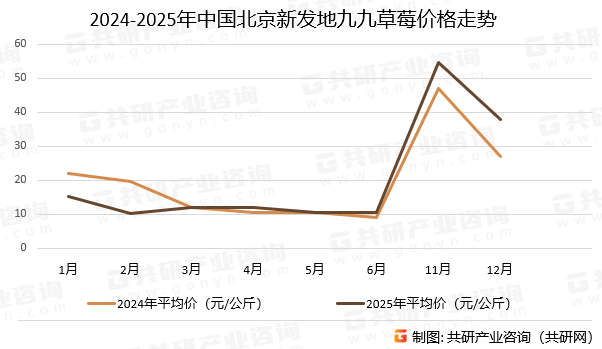 2024~2025年中国北京新发地九九草莓价格走势