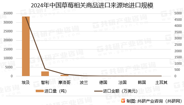 2024年中国草莓相关商品进口来源地进口规模