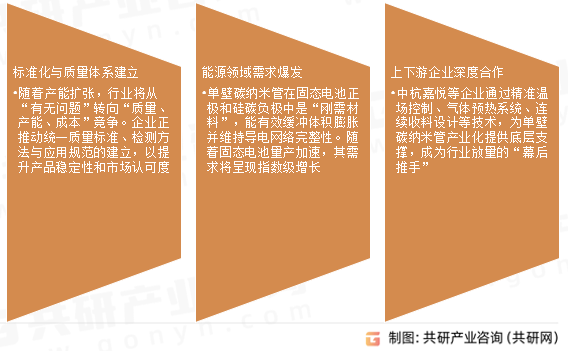 单壁碳纳米管市场发展趋势