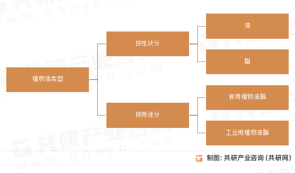 植物油类型
