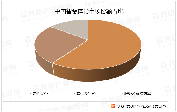 中国智慧体育市场份额占比