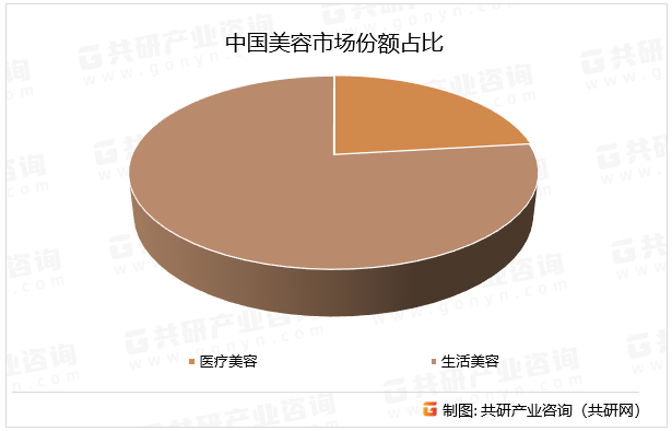 中国美容市场份额占比