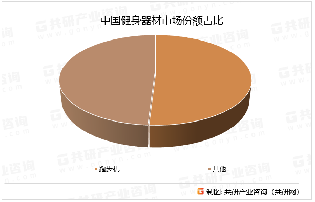 中国健身器材市场份额占比