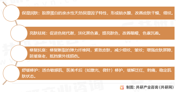 胶原蛋白面膜核心功效