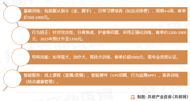 宠物训练服务类型