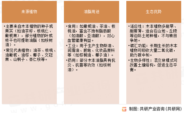 木本油料特点