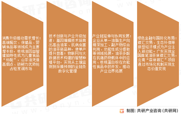 木本油料市场发展趋势