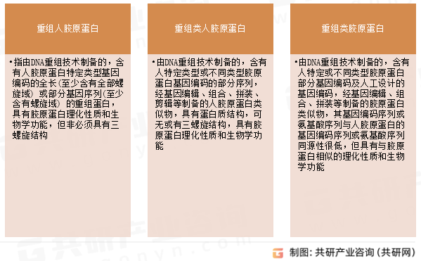 重组胶原蛋白类型