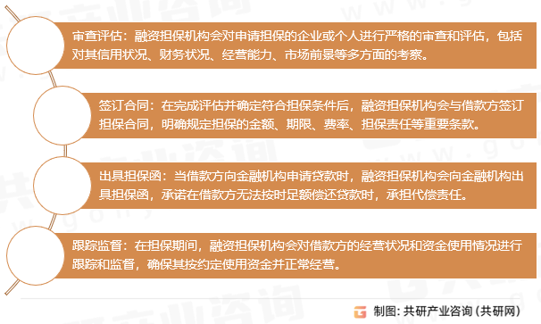 融资担保机构运作模式