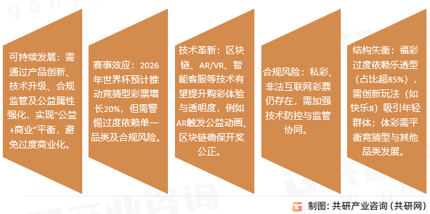 彩票挑战与未来展望