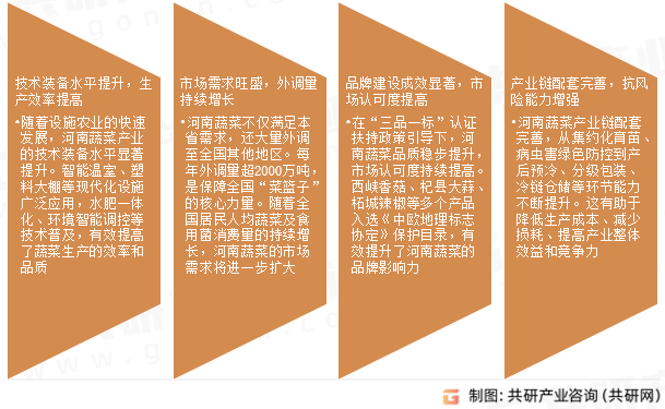 河南蔬菜产业发展前景
