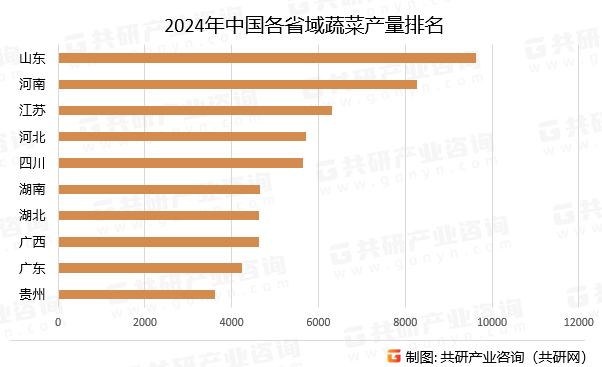 2024年中国各省域蔬菜产量排名