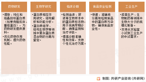 蛋白层析系统应用领域