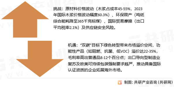 平衡纸挑战与机遇