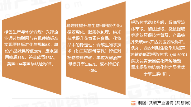 花青素行业趋势