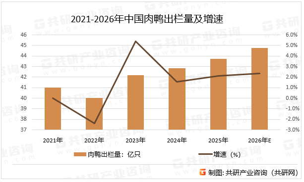 2021-2026年中国肉鸭出栏量及增速