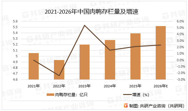 2021-2026年中国肉鸭存栏量及增速