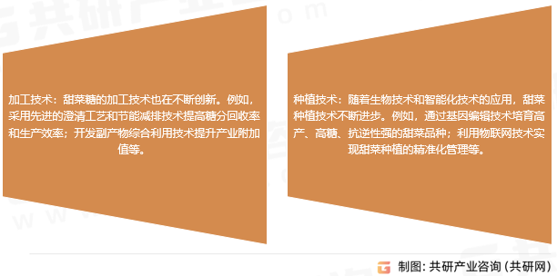 甜菜糖市场趋势