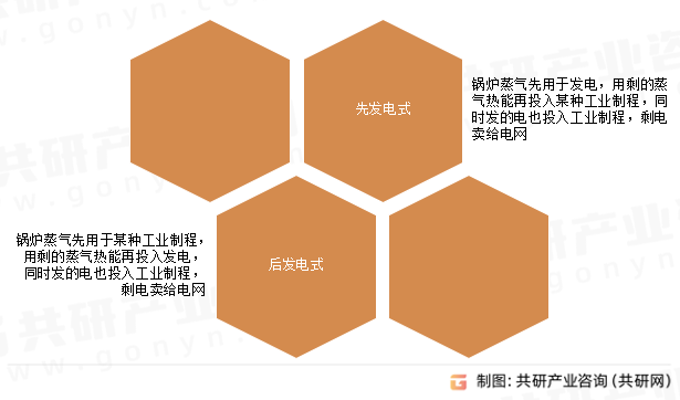 热电联产（CHP）类型