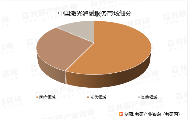 中国激光消融服务市场细分