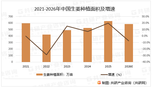 2021-2026年中国生姜种植面积及增速