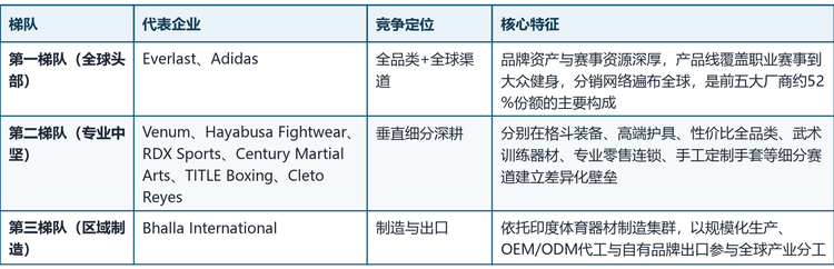 全球拳击器材市场集中度中等偏高，前五大制造商合计份额约 52%。按品牌定位、渠道能力与产品纵深，可将九家核心企业划分为三个梯队：