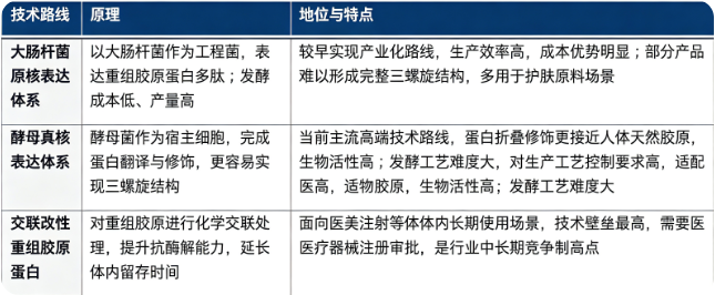 重组胶原蛋白主流技术路线对比：