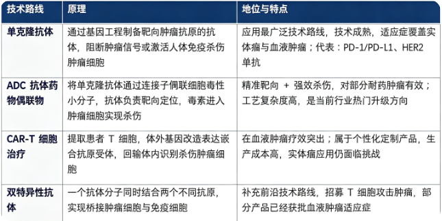 四、技术路线：单克隆抗体、ADC 抗体药物偶联物、CART 细胞治疗、双特异性抗体与其他