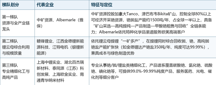 全球范围内铯盐生产商主要包括中矿资源、Albemarle（雅保）、赣锋锂业、江特电机（银锂新能源）、泰同源（江苏）科创发展、江西金德锂新能源科技、上海中锂实业、湖北百杰瑞新材料、上海欧金实业、南通青华纳米材料等。2025年，前五大厂商合计占据全球市场绝大部分收入份额，其中中矿资源以绝对优势位列第一。从资源、产能与产品结构看，行业呈现明显的金字塔式梯队格局，具体情况如下表所示：