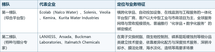 按业务模式划分，市场参与者大致可分为两大梯队：第一梯队为「化学品＋设备＋数字化服务」的综合平台型厂商，第二梯队为在细分品类建立技术壁垒的特种化学品专家。