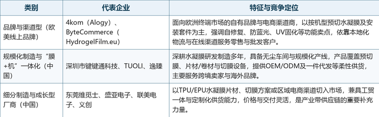 全球水凝胶屏幕保护膜市场主要参与者分类（按业务模式）