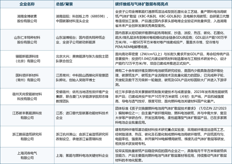 以下为全球与中国碳纤维纸市场重点布局的中国企业画像，涵盖上市公司、特种纸龙头、科研院所孵化企业与新能源创业公司：