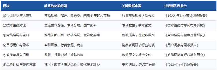  三、立项调研报告六大核心模块 