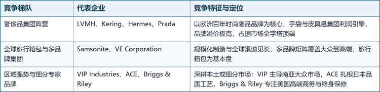 全球包袋市场呈现金字塔结构：塔尖由 LVMH、Kering、Hermes、Prada 等欧洲奢侈品集团占据，手袋与皮具是核心利润引擎；中部为 Samsonite、VF Corporation 等规模化多品牌集团；基座为 VIP Industries、ACE、Briggs & Riley 等区域强势与细分专家品牌。市场集中度整体不高，头部企业通过品牌矩阵与并购持续整合。