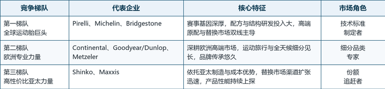 全球高性能运动胎市场竞争梯队