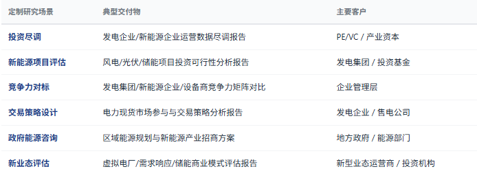 定制化研究体系：除标准化报告外，共研产业研究院提供按需定制研究服务——发电企业尽调、新能源项目投资可行性分析、电力市场化交易策略设计、储能商业模式评估、虚拟电厂聚合方案设计、特高压投资前景评估、区域能源规划等，面向投资机构、发电集团、电网企业、电力设备制造商、政府部门等不同主体灵活交付。