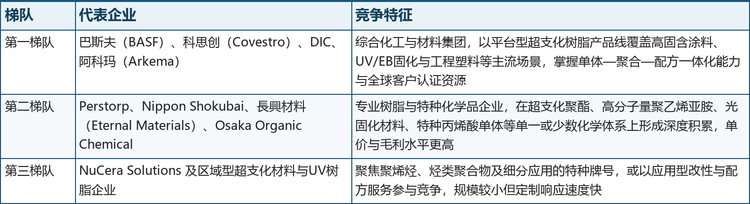 全球竞争呈现“综合化工集团提供平台型材料、专业树脂企业深耕单一化学体系、中国企业推进应用型产业化”的结构，客户认证和配方协同能力的重要性高于单纯产品数量。巴斯夫以 Basonol HPE 布局高固含涂料用超支化聚酯多元醇；Perstorp 的 Boltorn 是代表性的超支化/树枝状聚酯平台；阿科玛通过 Sartomer CN2300 系列布局 UV/EB 超支化聚酯丙烯酸酯；科思创的 Hybrane 聚焦超支化聚酯酰胺及高固含涂料；DIC 的 HYBRANCH 将超支化结构扩展至可大规模成型的聚苯乙烯；日本触媒以 EPOMIN 高分子量超支化聚乙烯亚胺覆盖水处理、胶黏和表面处理；NuCera 则通过 VYBAR 和 DIAX 布局超支化聚烯烃及烃类聚合物。