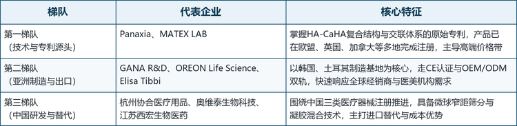 全球HA-CaHA复合注射剂市场的参与者大体可分为三类：掌握复合结构与交联体系原始专利的技术源头企业，以韩国、土耳其制造基地为核心的出口型厂商，以及围绕三类医疗器械注册推进的中国研发力量。