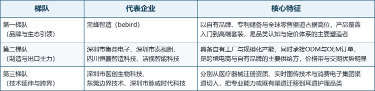 全球可视采耳摄像棒市场的参与者大体可分为三类：以品牌、专利与全球渠道见长的引领者，以自有工厂与规模化产能支撑的制造与出口主力，以及从医疗器械、图传技术或消费电子渠道跨界进入的延伸力量。
