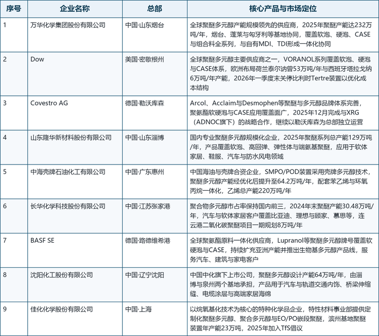 本文选取的9家核心企业覆盖了上述三条路线，其产品形态与市场定位如下表所示。