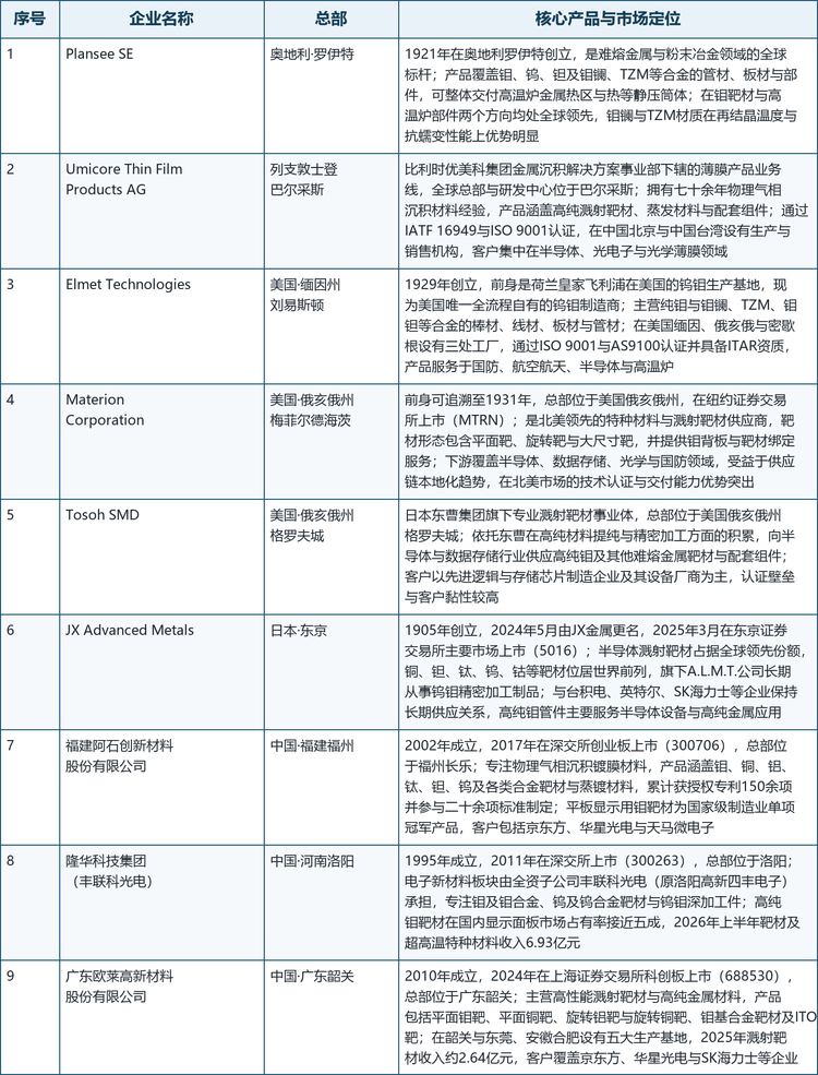本文选取的9家核心企业覆盖了上述三条路线，其产品形态与市场定位如下表所示。