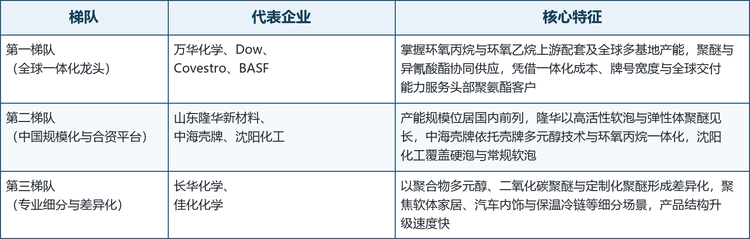全球聚氧化烯多元醇市场的参与者大体可分为三层：掌握环氧丙烷与环氧乙烷上游配套及全球多基地产能的一体化龙头，以大规模连续化装置支撑国内需求并承接出口的中国规模化企业与中外合资平台，以及在聚合物多元醇、二氧化碳聚醚与定制化产品上形成差异化的专业力量。