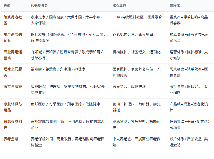 四、竞争格局：多元主体、模式分化