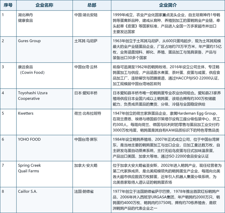 第三梯队。 以 Kwetters、Caillor S.A. 与 Spring Creek Quail Farms 为代表，构成欧洲与北美的产区与零售品牌力量。Kwetters 是 1947 年创立的荷兰家族蛋品企业，隶属 Hardeman Egg Group，每周向荷兰、德国与比利时的零售及蛋品加工业交付约 3000 万枚鸡蛋，鹌鹑蛋是其自有品质标识下的特色零售品类；Caillor S.A. 1977 年创立于法国朗德省，1978 年推出首款红标鹌鹑产品，2006 年并入西班牙 URGASA 集团，是欧洲鹌鹑产品的代表企业之一；Spring Creek Quail Farms 位于加拿大安大略省，是北美规模领先的鹌鹑蛋生产企业，也是北美首家取得人道认证的鹌鹑蛋农场。这几家企业的竞争位置建立在规模化养殖、认证体系与零售渠道准入之上，而不是单纯的价格。