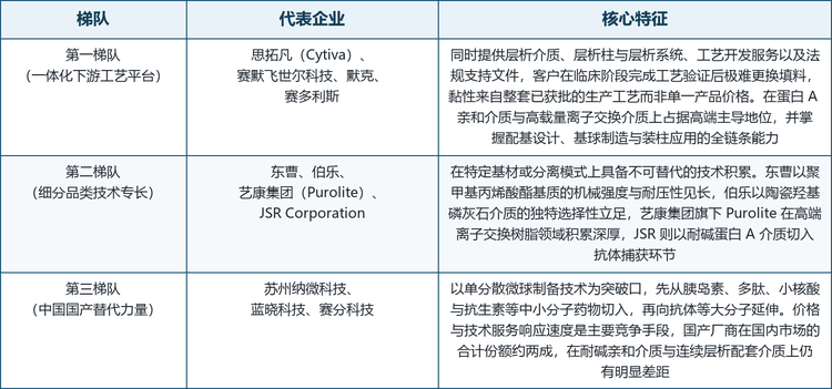 层析介质行业竞争梯队
