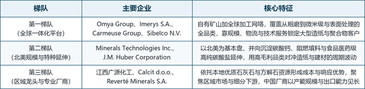 全球天然研磨碳酸钙行业集中度不高，但呈现向头部缓慢集中的态势。据行业机构测算，前五大厂商合计约占全球一到两成份额，年产能力超过一千万吨的企业数量有限。竞争壁垒来自三个方向：优质矿山的排他性占有、研磨与改性装备的资本与技术门槛、以及围绕大型造纸厂与聚合物工厂的物流半径。以下按业务结构与资源掌控能力划分三个梯队。