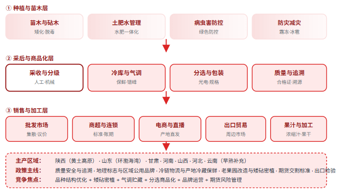 五、苹果三层结构全景链路