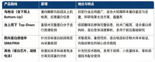 蛋白质组学按照质谱分析策略，分为鸟枪法（自下而上）、自上而下完整蛋白分析、靶向蛋白质组学三大主流技术路线，另外包含蛋白芯片等补充方案。